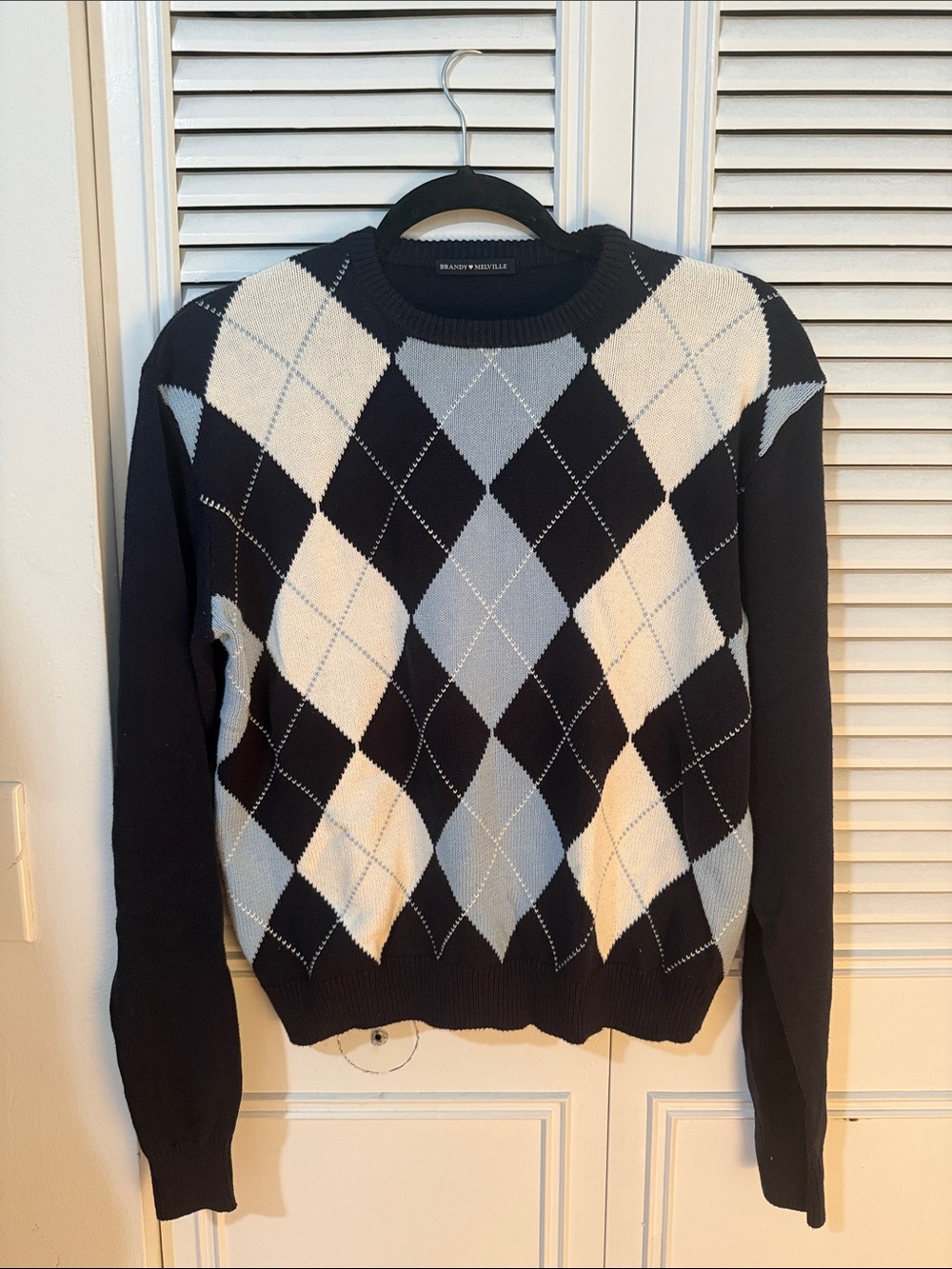 Brandy Melville Blue & White Crewneck Sweater (never worn)